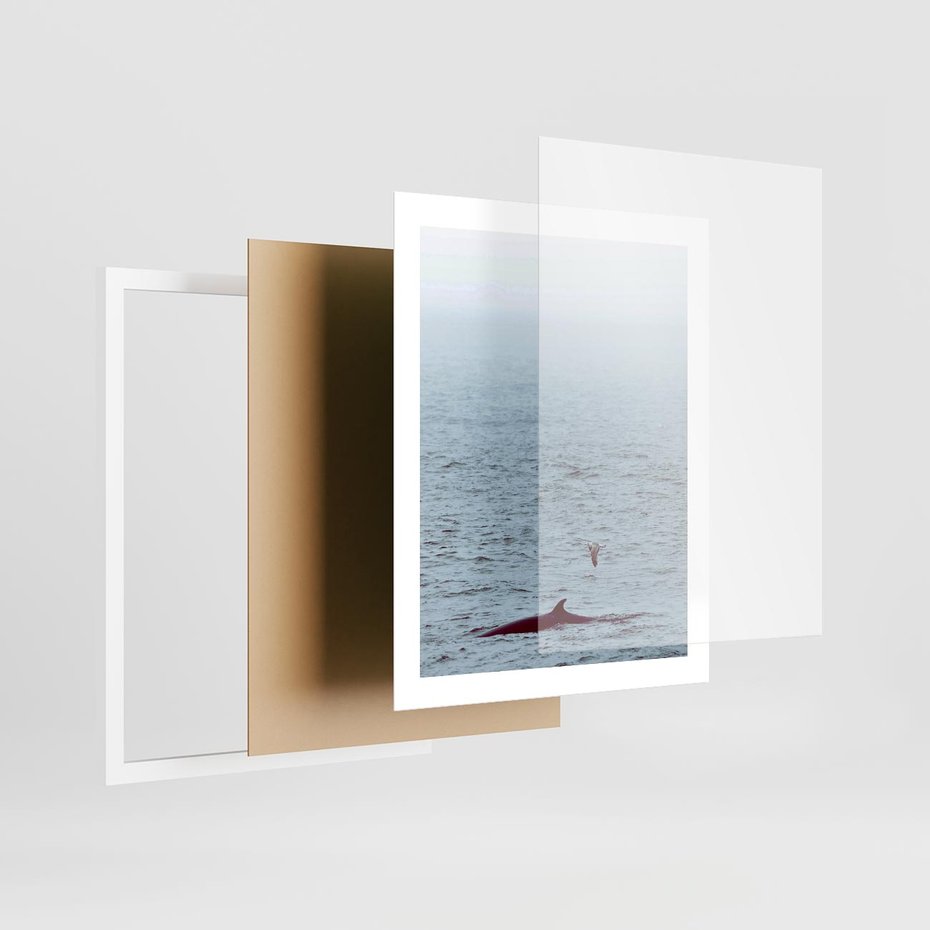 Plakat w ramie 40x50 - Spotkanie z Orką - morze, ocean - rama biała