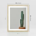 Plakat w ramie 40x50 - Zieleń i Subtelność - kaktusy, liście - rama drewno