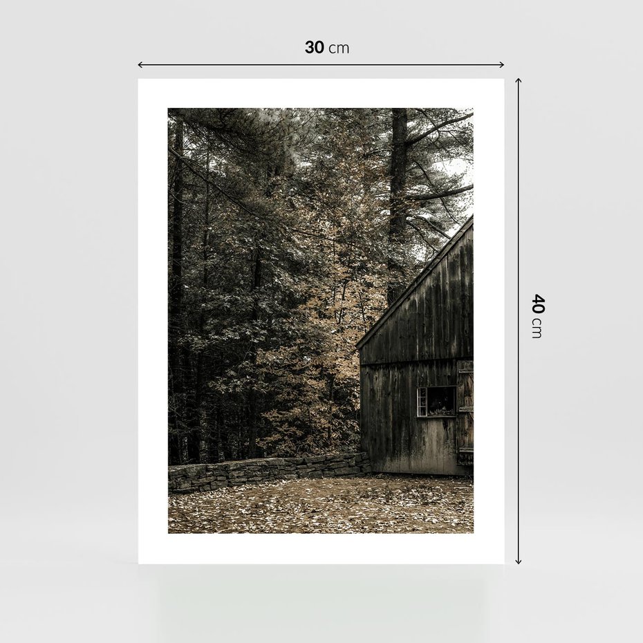 Plakat bez ramy 30x40 - Dom w Lesie - chatka w lesie, górski domek