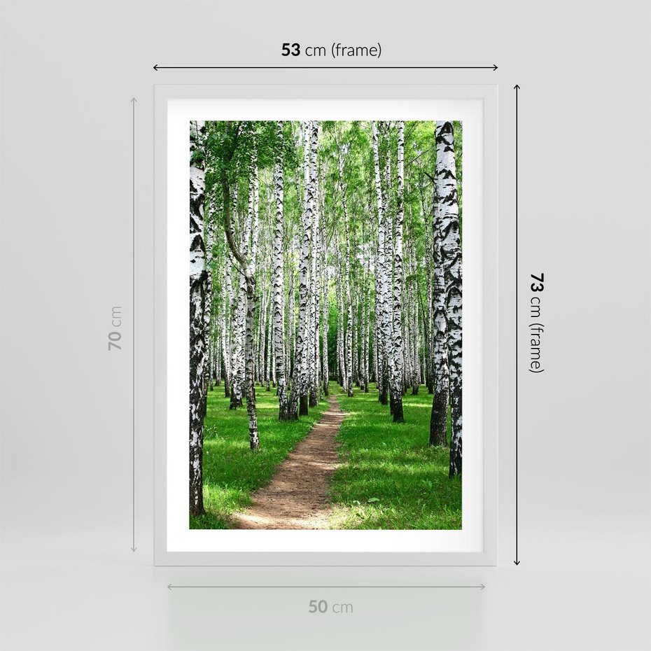 Plakat w ramie 50x70 - Bajkowy las pełen brzóz - las, brzozy - rama biała