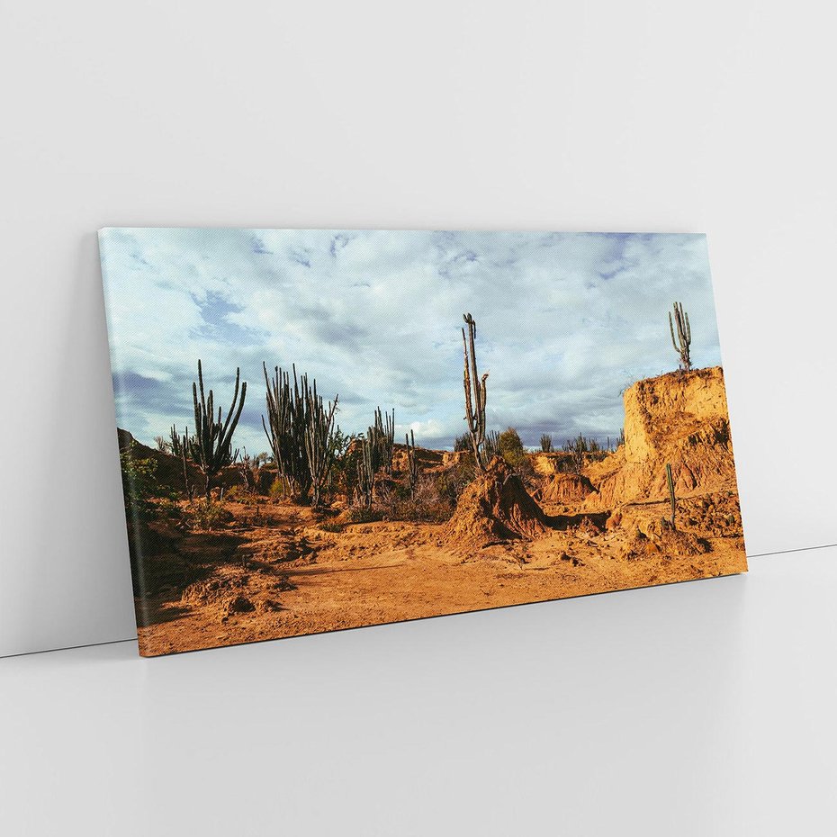 Obraz na płótnie 100x50 - Skarby Pustynnego Kanionu - pustynia, kaktusy