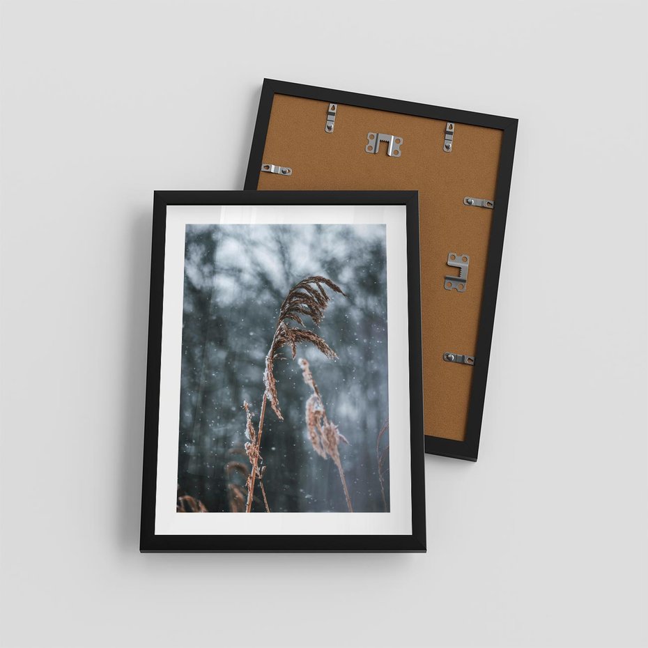 Plakat w ramie 30x40 - Zima na Łonie Natury - sucha wysoka trawa, w zimie - rama czarna