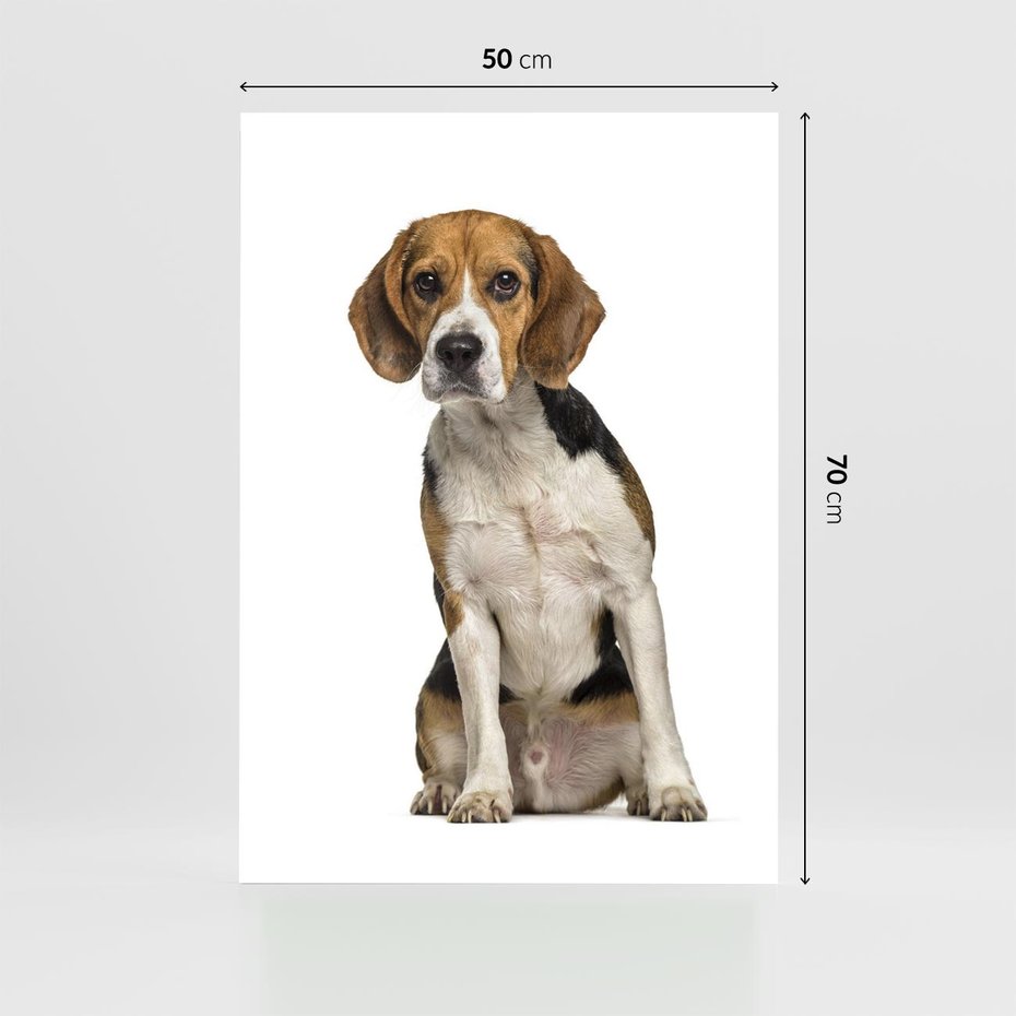 Plakat bez ramy 50x70 - Wierność i radość - pies, piesek