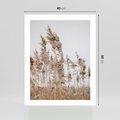 Plakat bez ramy 40x50 - Boho Urok - trawy, pampas