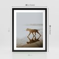 Plakat w ramie 40x50 - Przyjaciel na Plaży - pies, na plaży - rama czarna