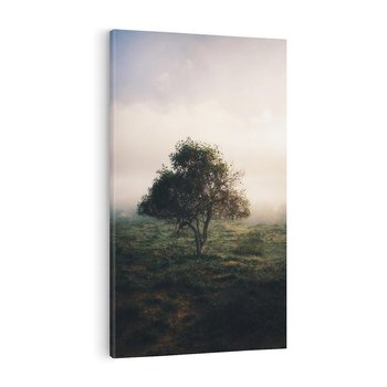 Obraz na płótnie 80x120 - Zamglona Prostota - artystyczna fotografia, samotne drzewo na zamglonej łące