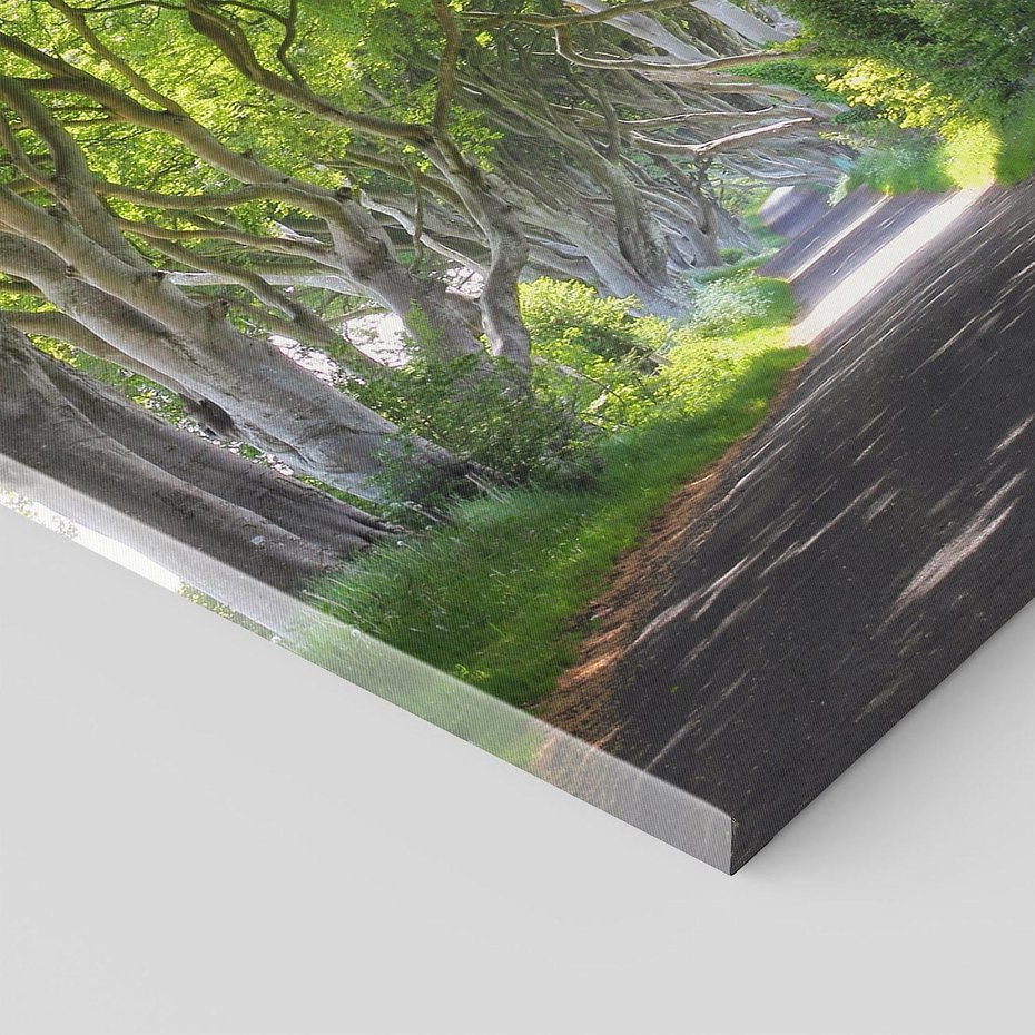 Obraz na płótnie 50x70 - Magiczny Las - drzewa, las