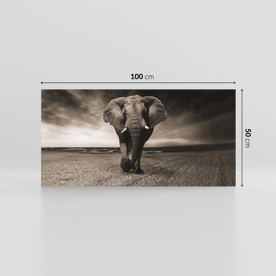 Obraz na płótnie 100x50 - Słoń - Wielki Przyjaciel Morza - słoń, plaża