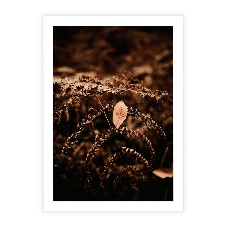 Plakat bez ramy 21x30 - Gałęzie i Liść w Brązowej Tonacji - suche gałęzie, liść