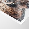 Plakat bez ramy 50x70 - Obraz Dzikiej Przyrody w Śnieżnym Otoczeniu - żubr, śnieg