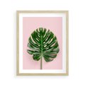 Plakat w ramie 40x50 - Monstera w Różowym Świetle - liść monstery, różowe tło - rama drewno