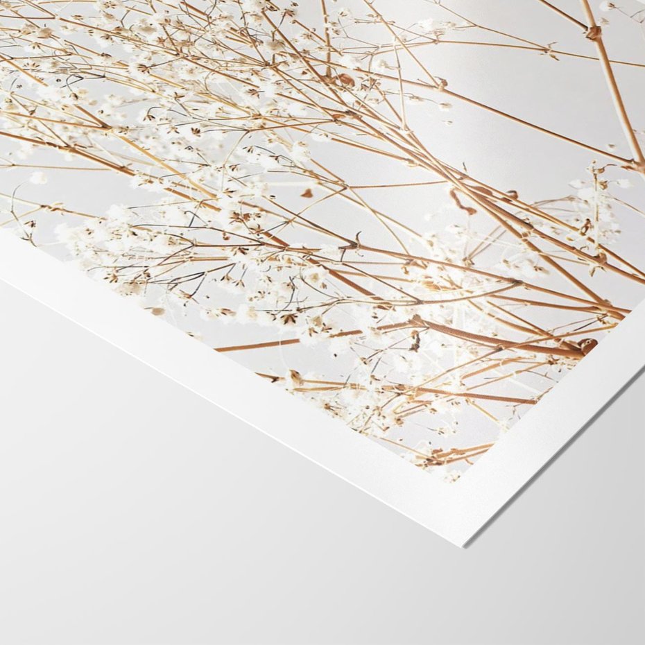 Plakat bez ramy 50x70 - Minimalistyczna Delikatność - białe kwiaty, gipsówka