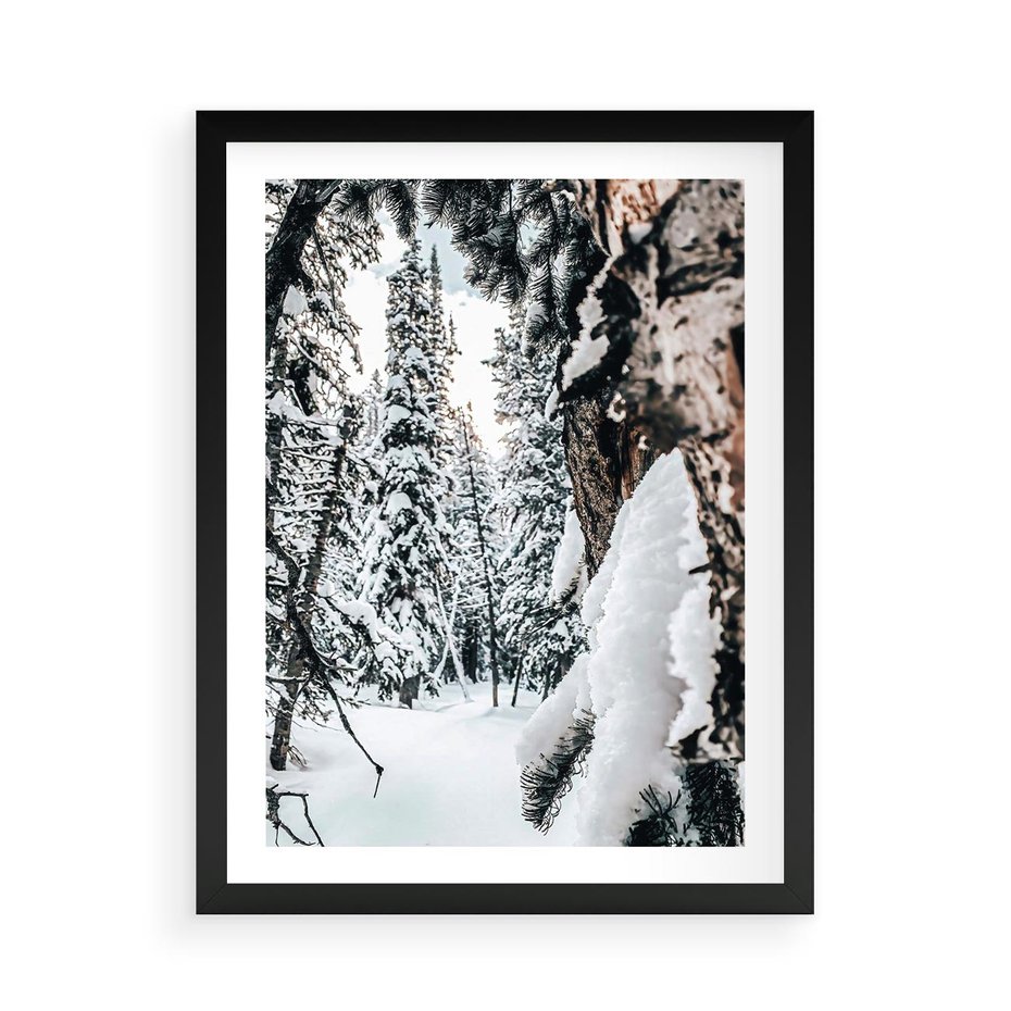 Plakat w ramie 50x70 - Drzewa pod Śniegiem - zima las, drzewa pod śniegiem - rama czarna