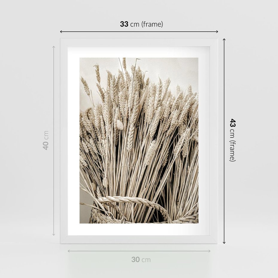 Plakat w ramie 30x40 - Letni Plon - zboże, kłosy zboża - rama biała