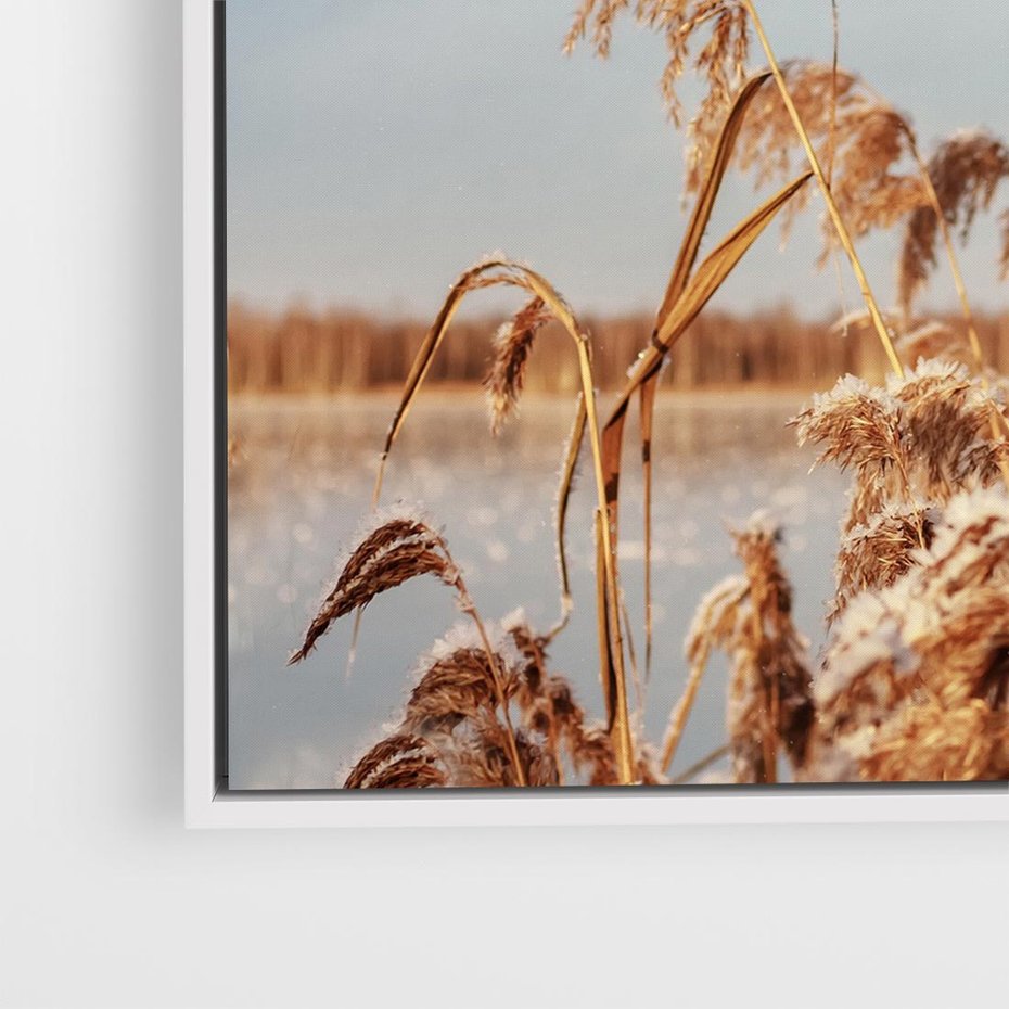 Obraz w ramie 50x50 - Wyraz Stylu - trawy, boho - rama biała