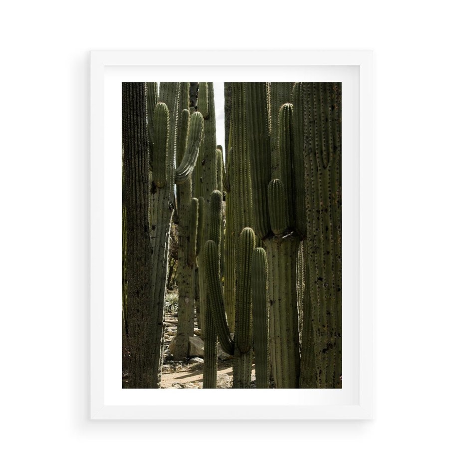 Plakat w ramie 50x70 - Wyjątkowy Klimat Boho - kaktusy, pustynia - rama biała