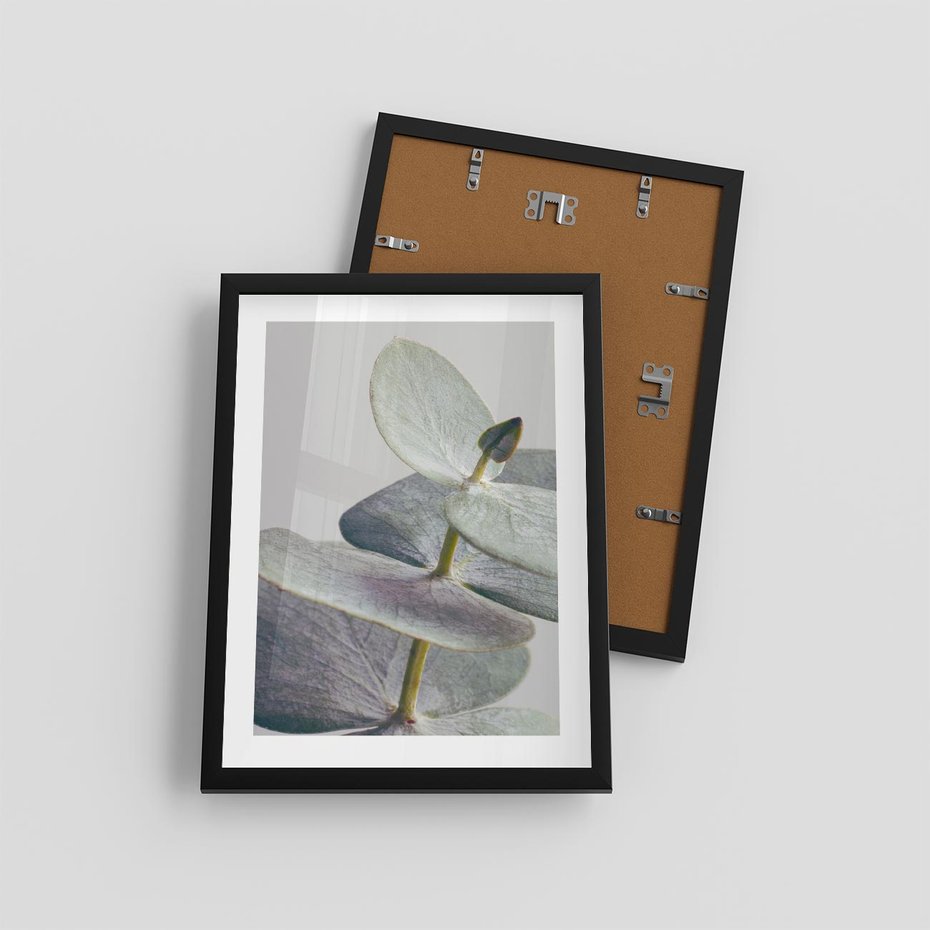 Plakat w ramie 30x40 - Zbliżenie Liści Eukaliptusa - eukaliptus, zbliżenie - rama czarna