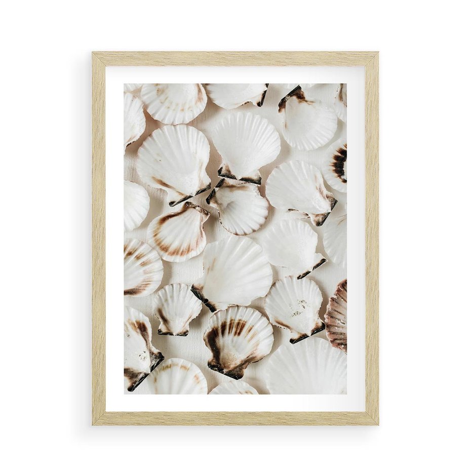 Plakat w ramie 50x70 - Białe Muszle - białe muszle, ujęcie z góry - rama drewno