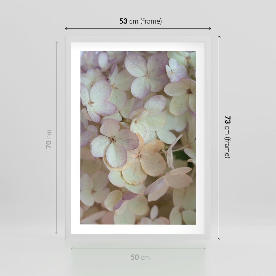 Plakat w ramie 50x70 - Kwiatowy taniec - kwiaty, hortensje - rama biała