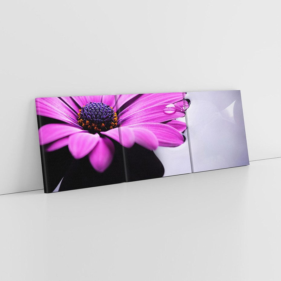 Obraz na płótnie 120x40 - kwiatowa harmonia - kwiat, SPA