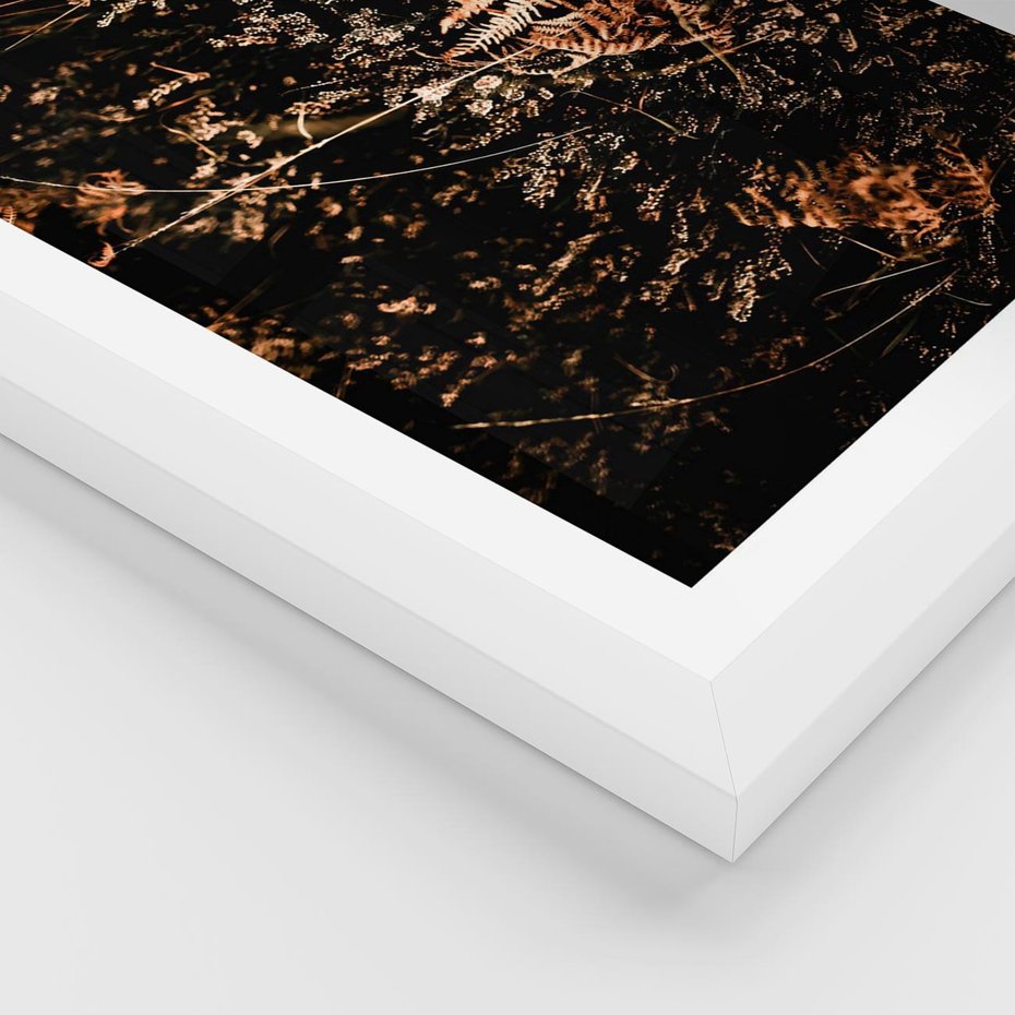 Plakat w ramie 40x50 - Jesienna Melodia - suche trawy, paprocie - rama biała