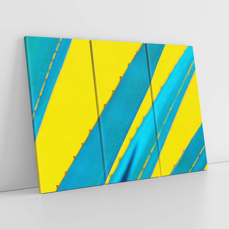 Obraz na płótnie 120x80 - Świeżość Natury - aloes, liście