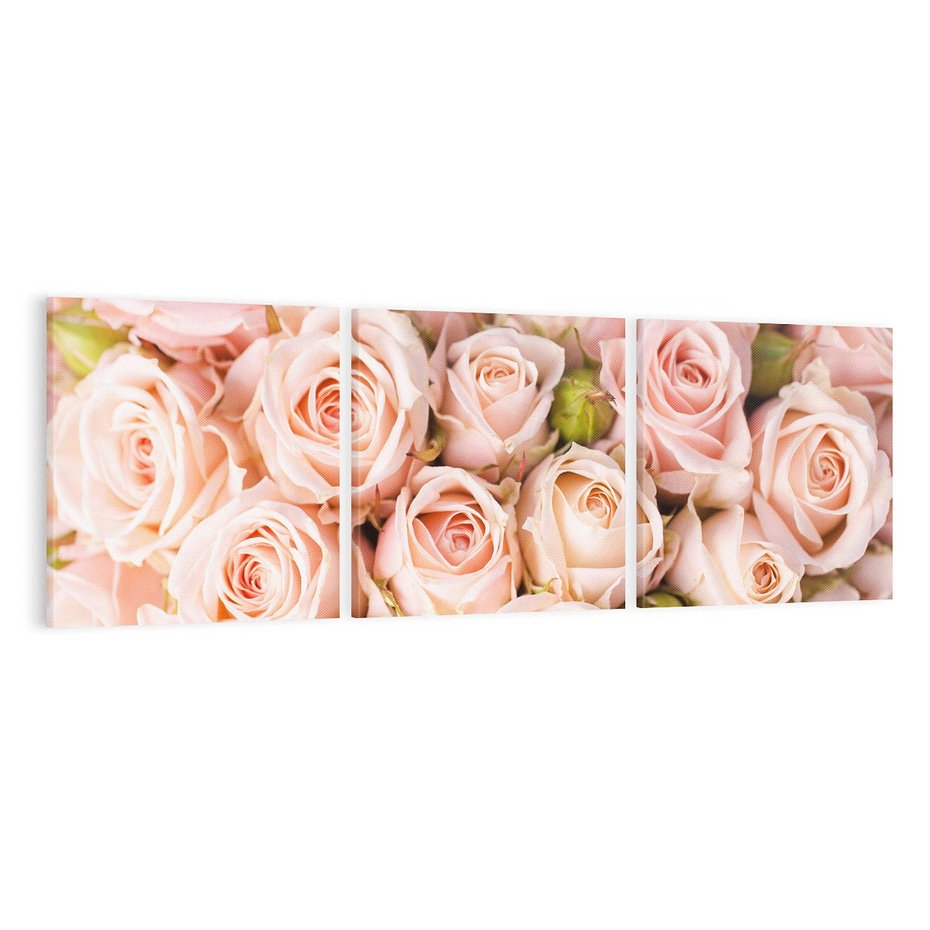 Obraz na płótnie 120x40 - Delikatność róż - piękno natury - róże, kwiaty