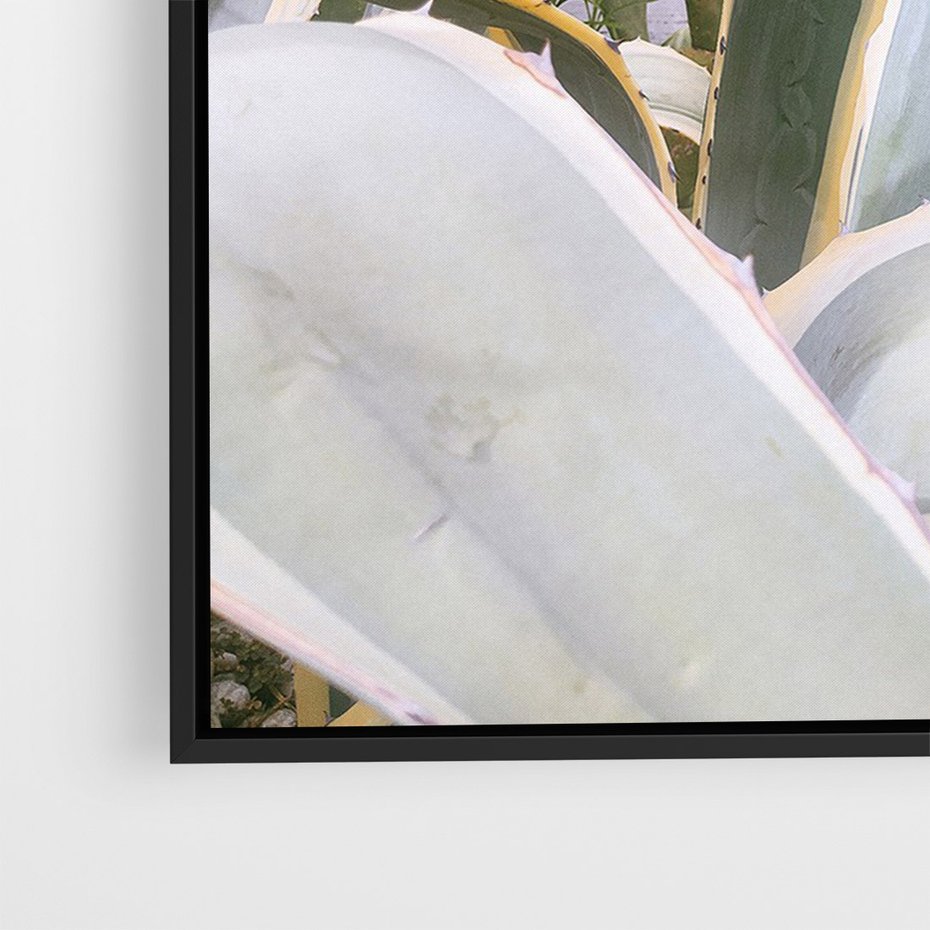 Obraz w ramie 50x70 - Sukulentowe liście - liście, sukulenty - rama czarna