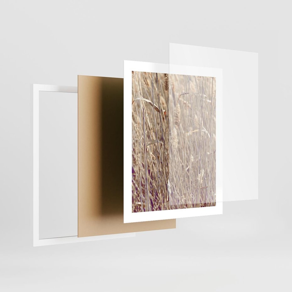 Plakat w ramie 40x50 - Suche Trawy w Wyjątkowym Stylu - suche trawy, boho styl - rama biała