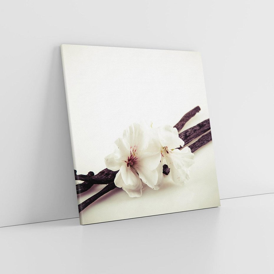 Obraz na płótnie 80x80 - Czuła delikatność wanilii - wanilia, kwiaty