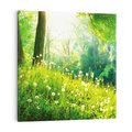 Obraz na płótnie 60x60 - Urok natury - magiczny las na płótnie - las, trawa