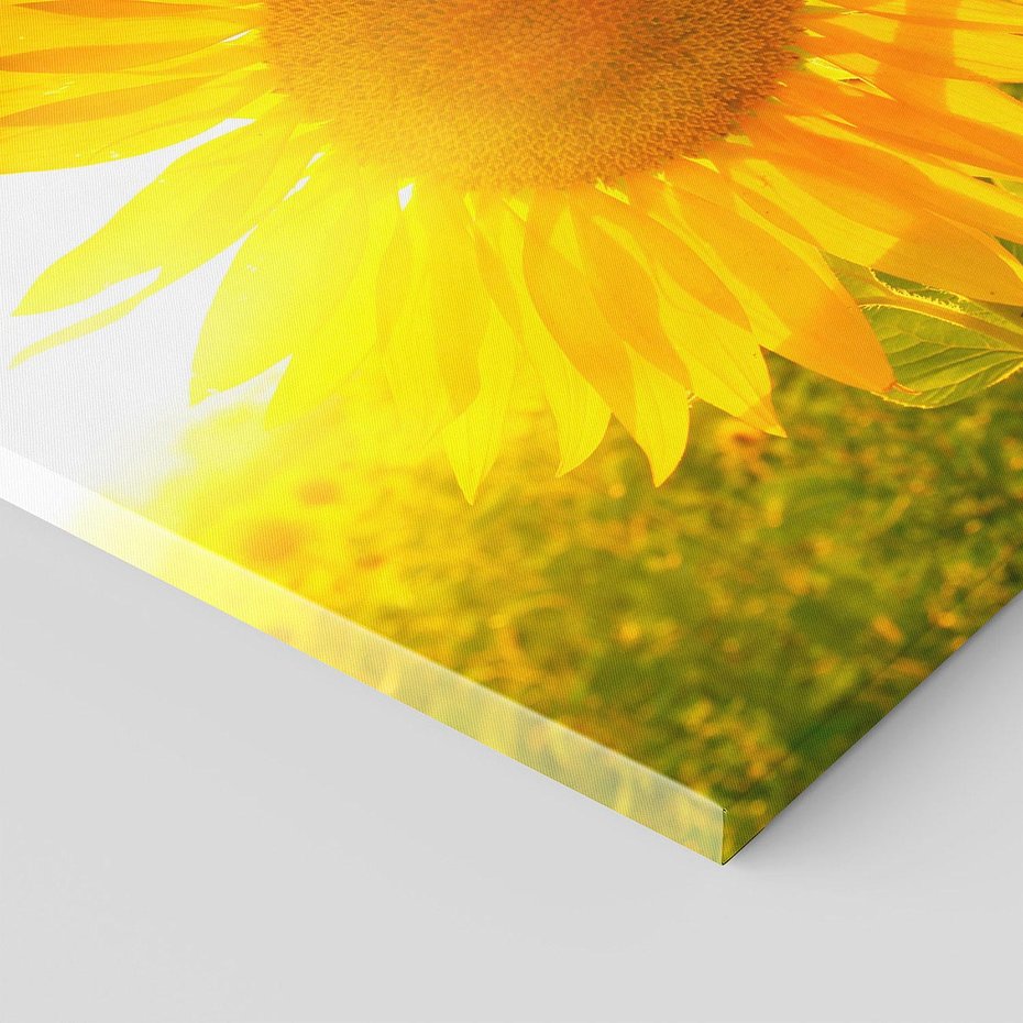 Obraz na płótnie 100x50 - kolorowe promienie - słoneczniki, kwiaty