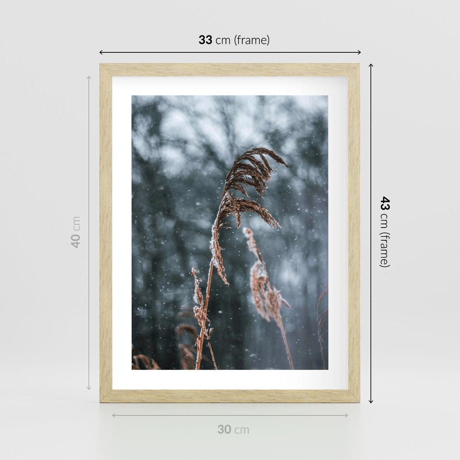 Plakat w ramie 30x40 - Zima na Łonie Natury - sucha wysoka trawa, w zimie - rama drewno