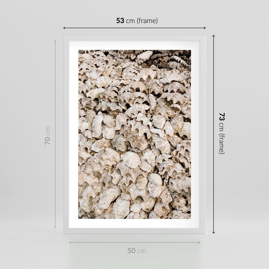 Plakat w ramie 50x70 - Symfonia Natury - kompozycja z białych muszli - rama biała