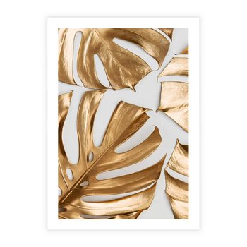 Plakat bez ramy 30x40 - Złote Akcenty w Fotografii - złotel liście monstery, na białym tle