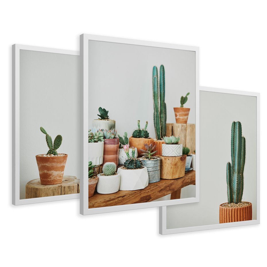 Zestaw obrazy w ramie 50x70 galeria - Kaktusy, w, doniczkach, boho - rama biała
