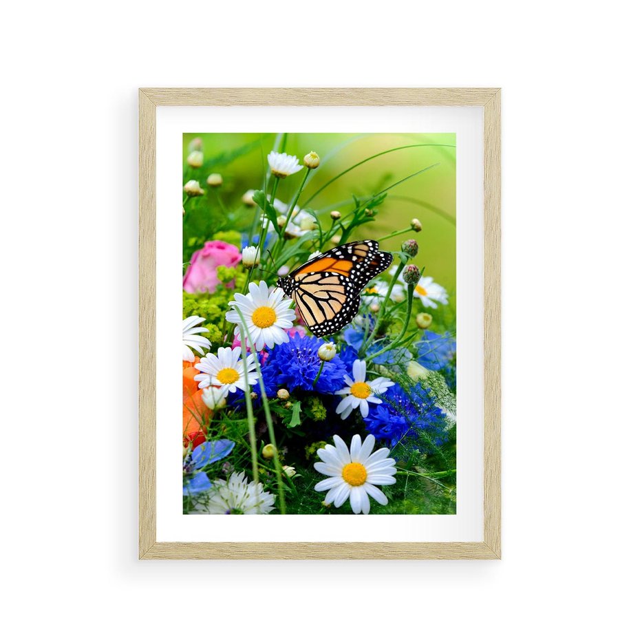 Plakat w ramie 30x40 - Kwiatowy Taniec - motyl, kwiaty - rama drewno