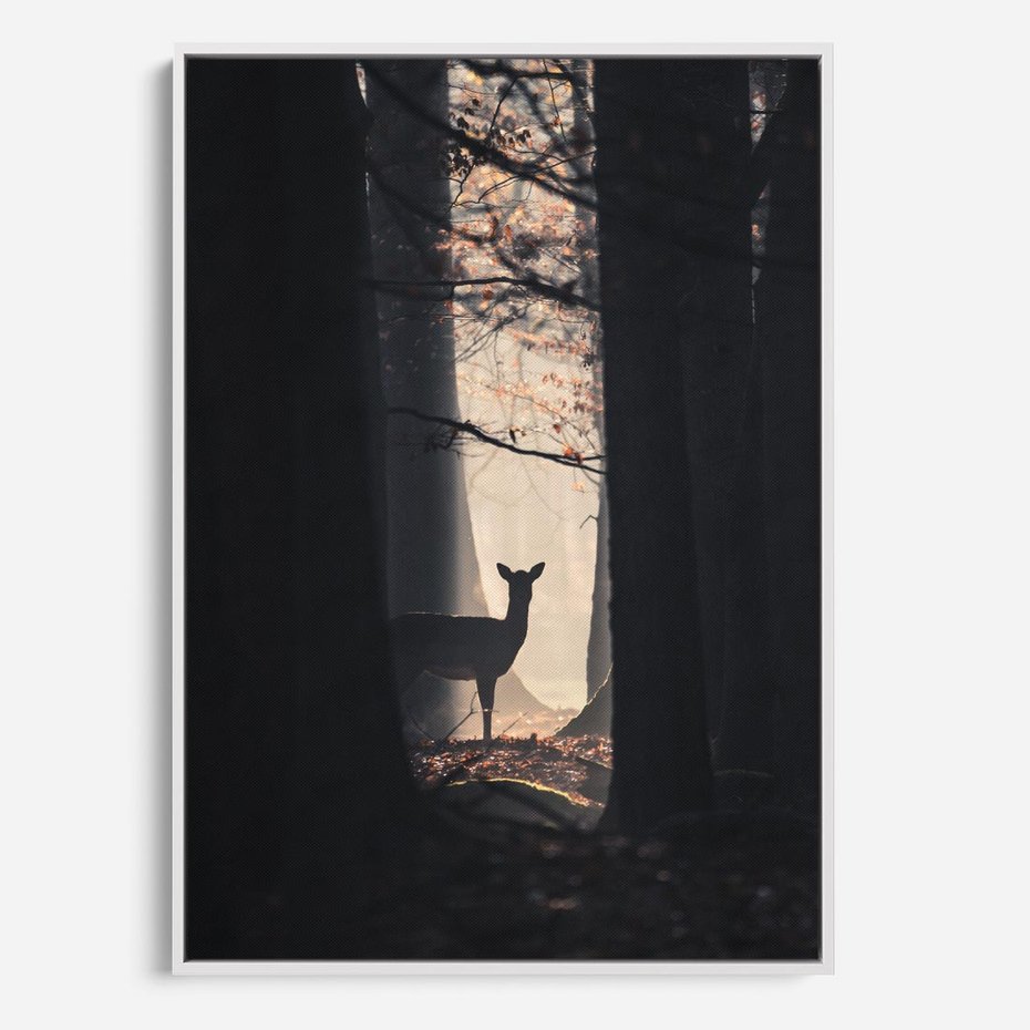 Obraz w ramie 50x70 - Sarnie Skoki - zdjęcie, klimatyczny las - rama biała