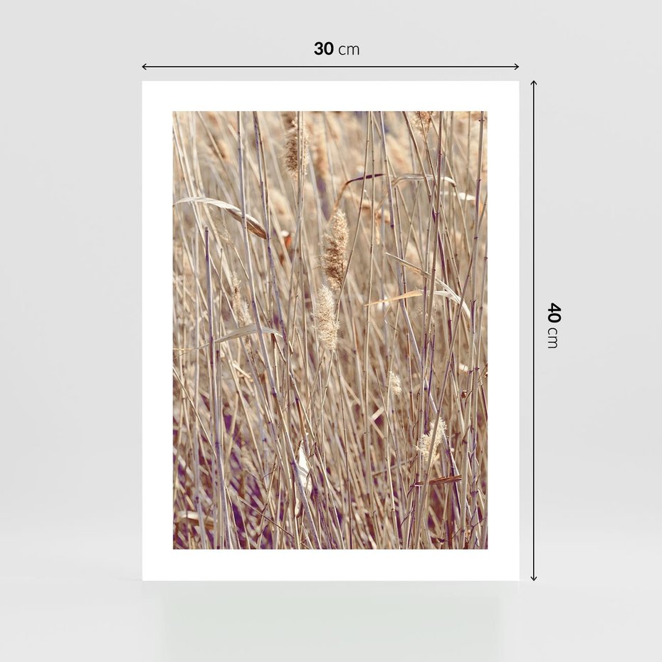 Plakat bez ramy 30x40 - Suche Trawy w Wyjątkowym Stylu - suche trawy, boho styl
