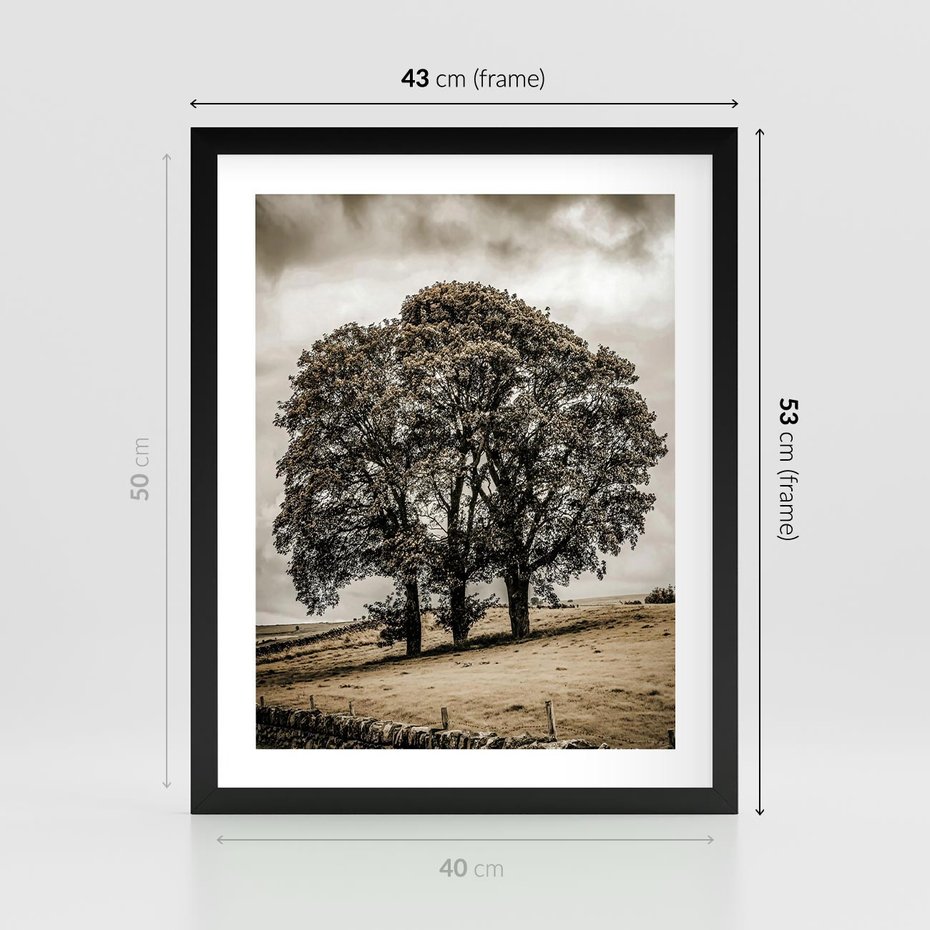 Plakat w ramie 40x50 - Spokojna Osamotniona Chwila - beżowe kolory, samotne drzewo na polu - rama czarna