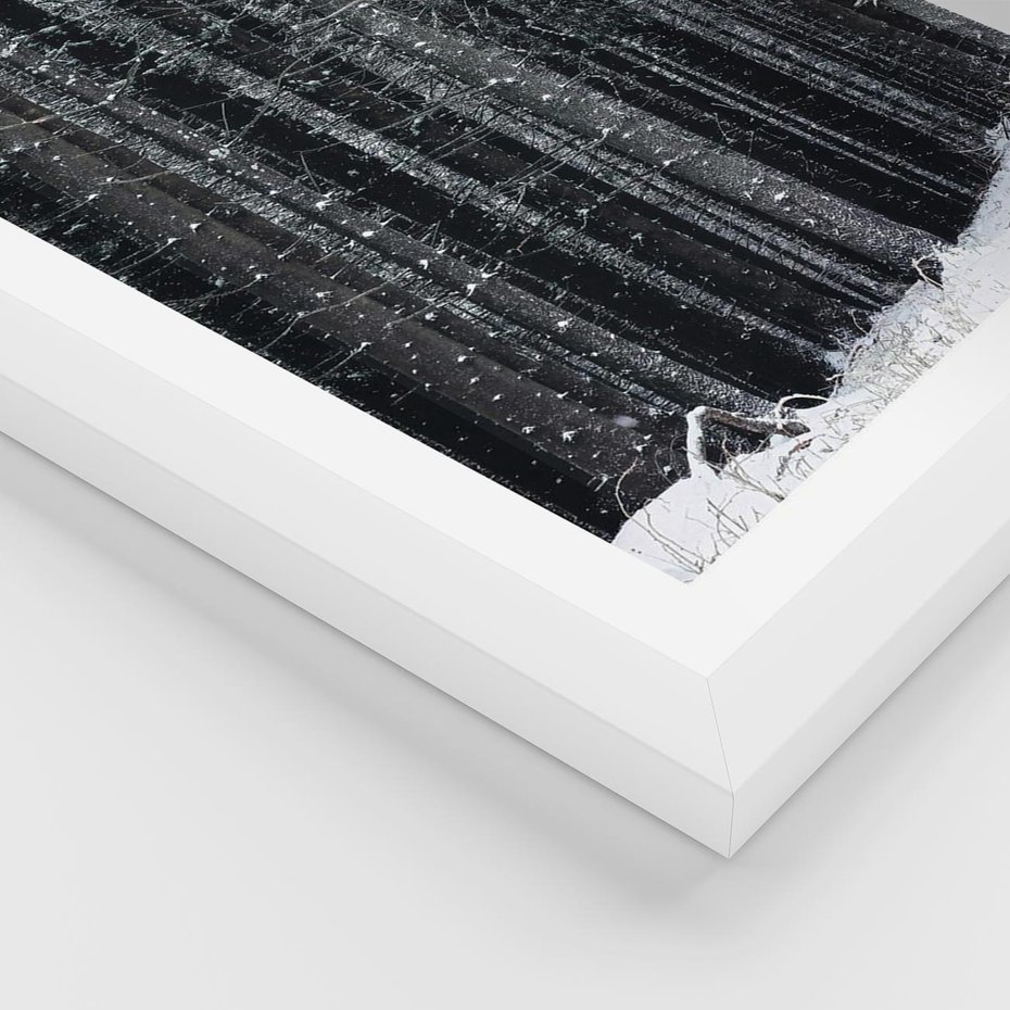 Plakat w ramie 50x70 - Leśna Cisza: Malowniczy Pejzaż Zimą - las zimą, ośnieżone pnie drzew - rama biała