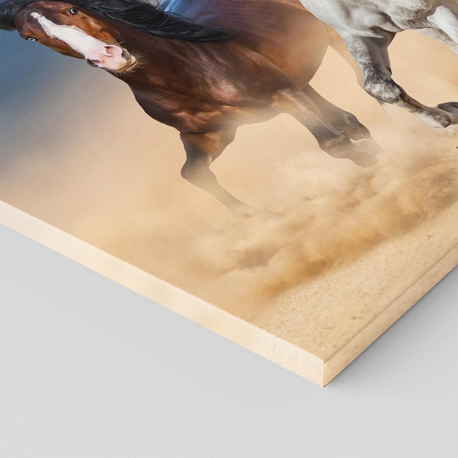 Obraz na płótnie 120x80 - Siła i elegancja - konie, galop