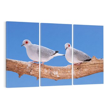 Obraz na płótnie 120x80 - Gołębie w locie - gołębie, gołąb