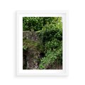 Plakat w ramie 40x50 - Żywiołowa Zieleń - mur, liście - rama biała