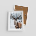 Plakat w ramie 30x40 - Jeleń na Zdjęciu pod Śniegiem - jeleń, zima - rama biała