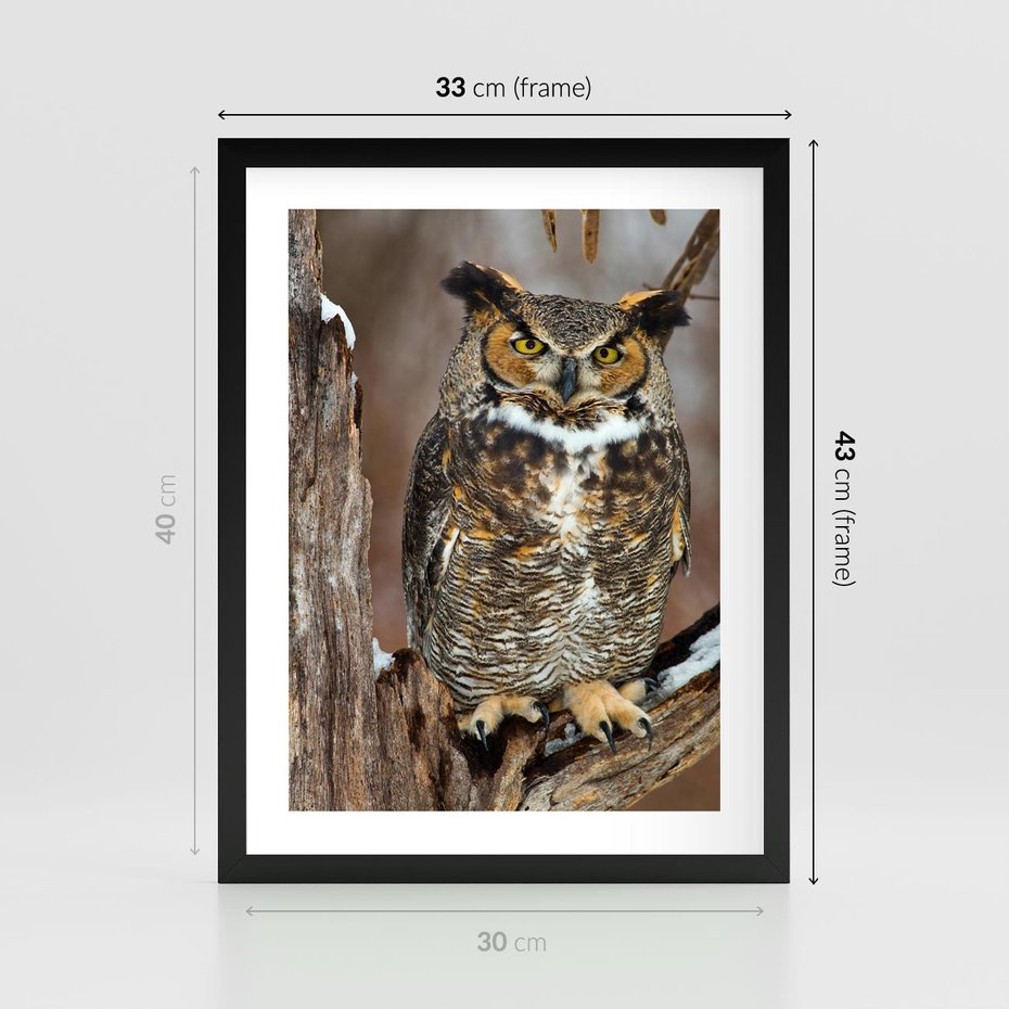Plakat w ramie 30x40 - Tajemniczy Stróż - sowa, las - rama czarna