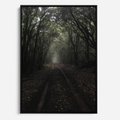 Obraz w ramie 50x70 - Urok Drogi - las, droga - rama czarna