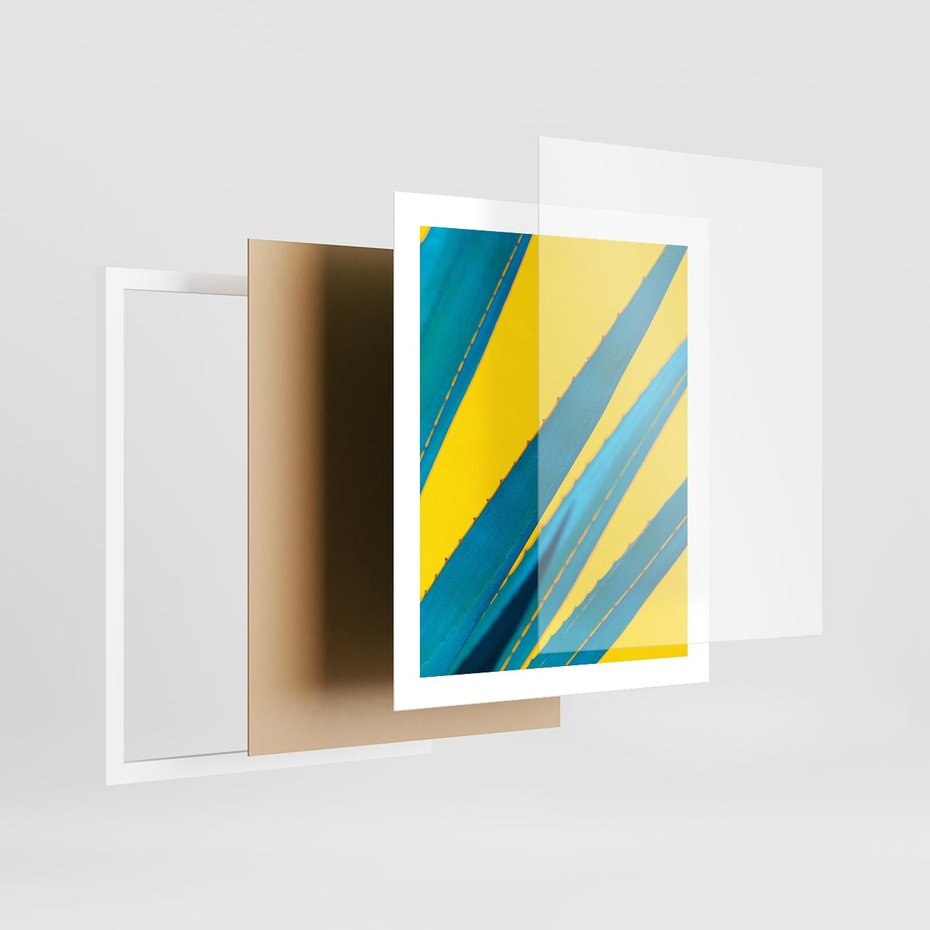 Plakat w ramie 40x50 - Świeżość Natury - aloes, liście - rama biała