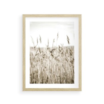 Plakat w ramie 50x70 - Nostalgiczny Pejzaż - suche trawy, pole - rama drewno