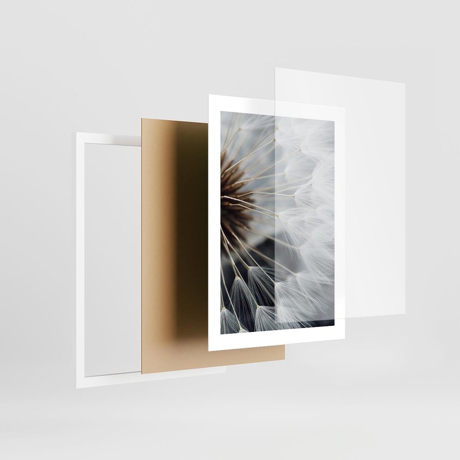 Plakat w ramie 30x40 - Dmuchawce w Naturze - dmuchawiec, zbliżenie - rama biała